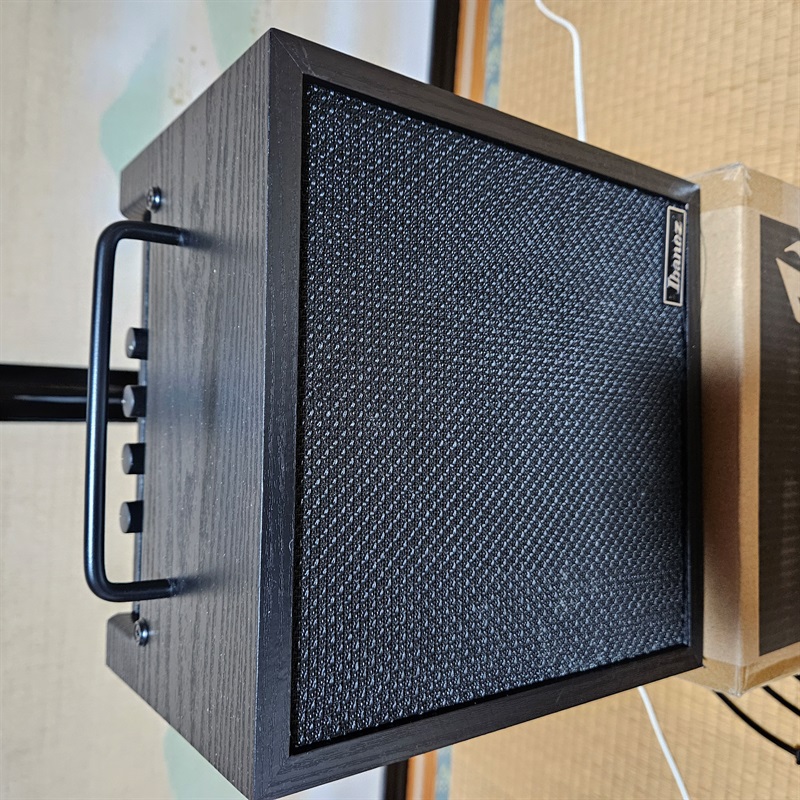 Ibanez IBZ10BV2の画像